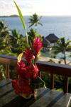 Bora Flowers 1 