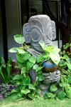 Polynesian Art 