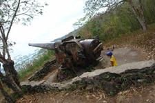 WWII Canon 