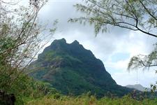 Mystical and Mountainous 